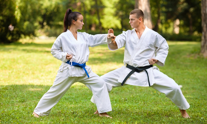 Кейс: экипировка для единоборств