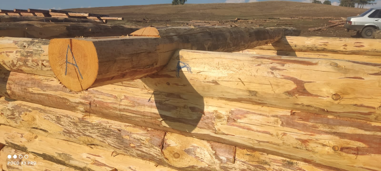 Фото схемы сборки сруба бани